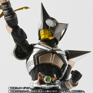 S.H.Figuarts（真骨彫製法） 仮面ライダーパンチホッパー 01