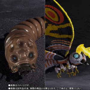 S.H.MonsterArts モスラ（成虫）＆モスラ（幼虫） Special Color Ver. 01
