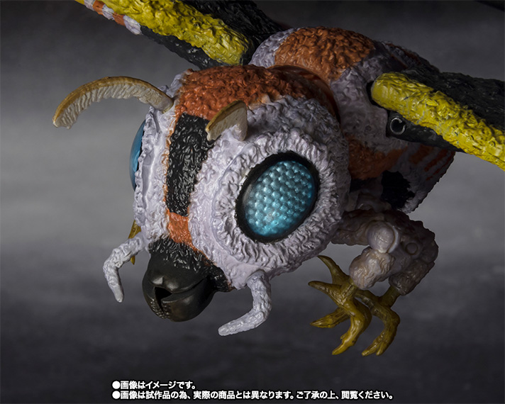 S.H.MonsterArts モスラ（成虫）＆モスラ（幼虫） Special Color Ver. 05